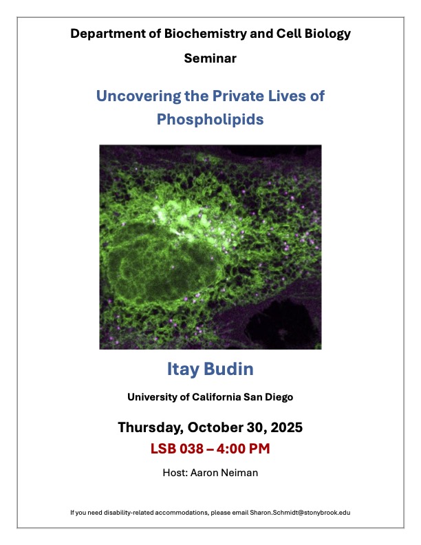 Itay Budin Flyer