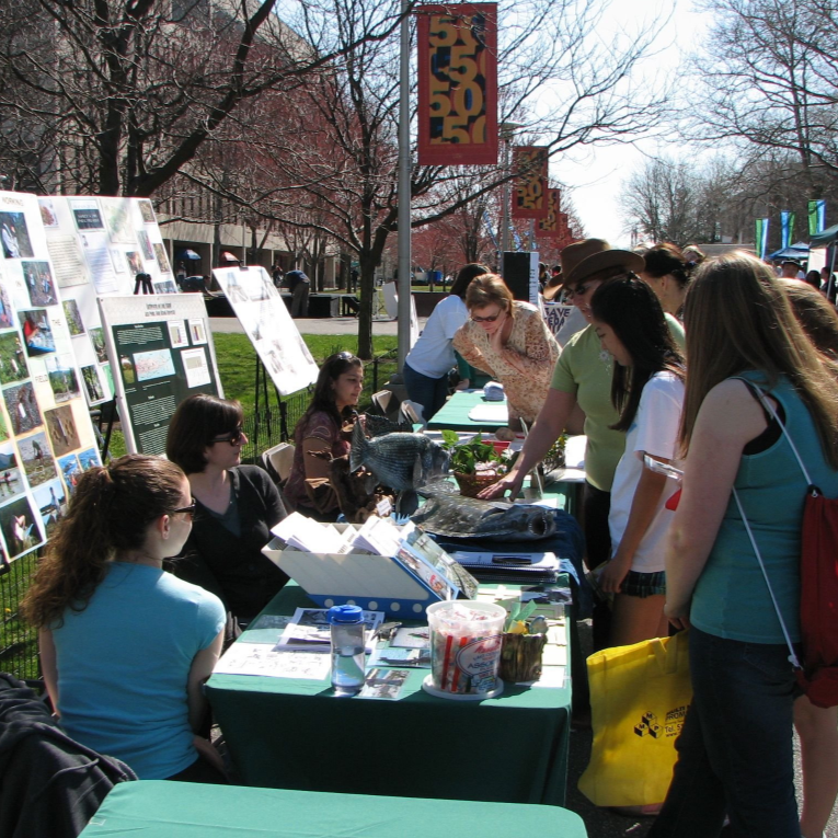 2008 Earthstock