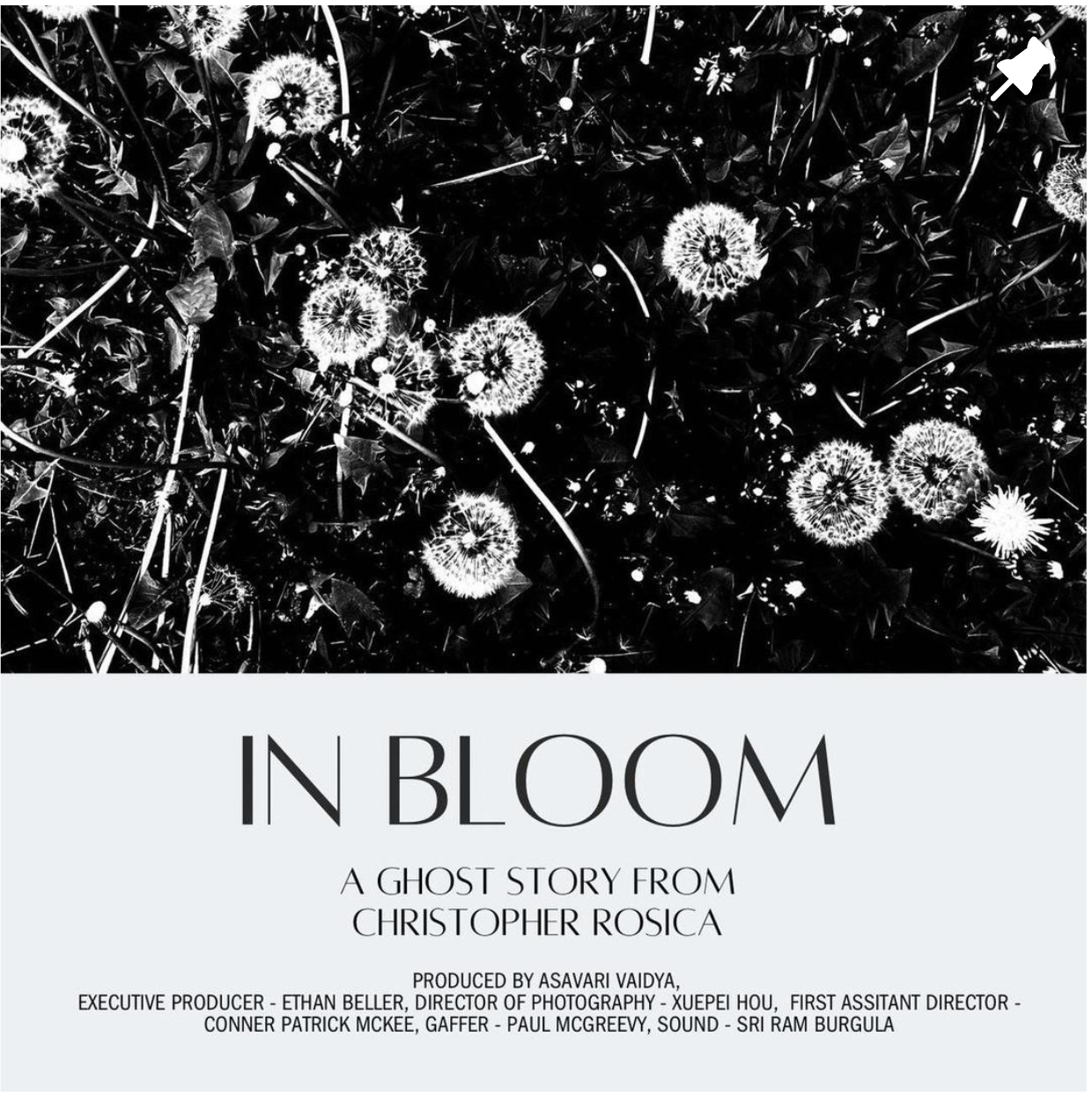 In Bloom