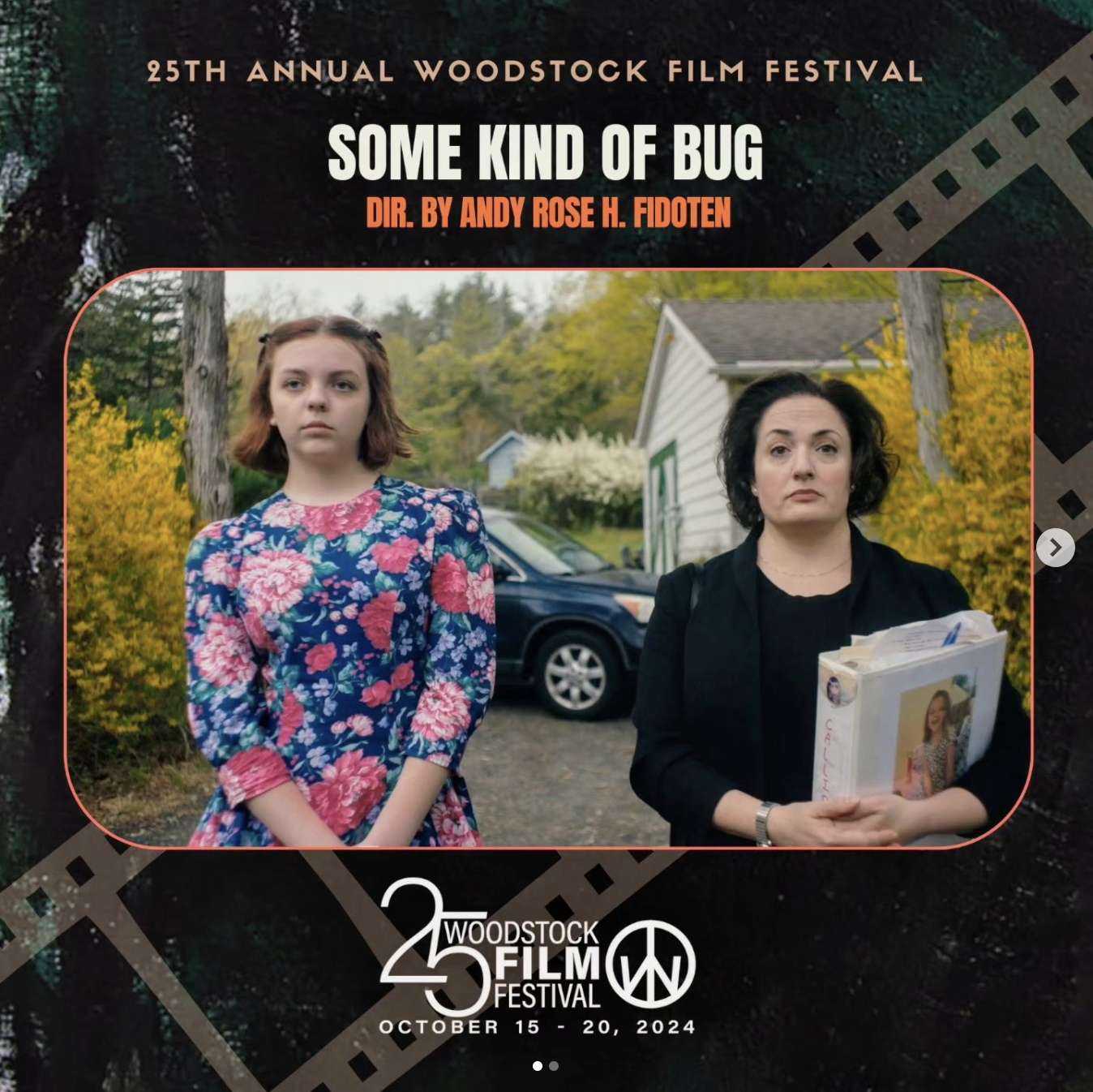 Some Kind of Bug Film