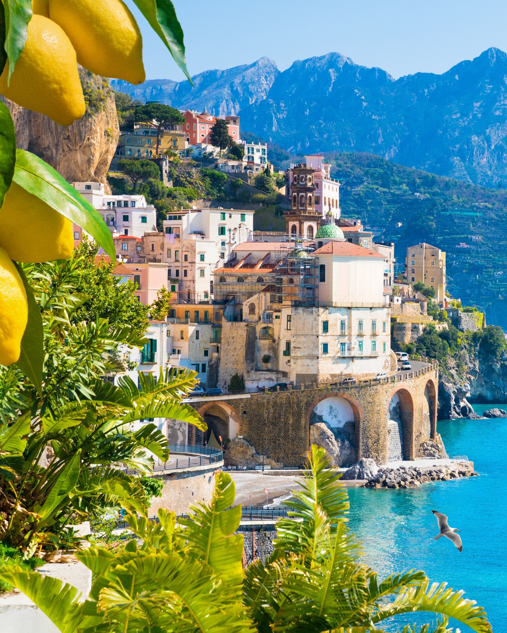 Lemons on the Amalfi coast of Italy