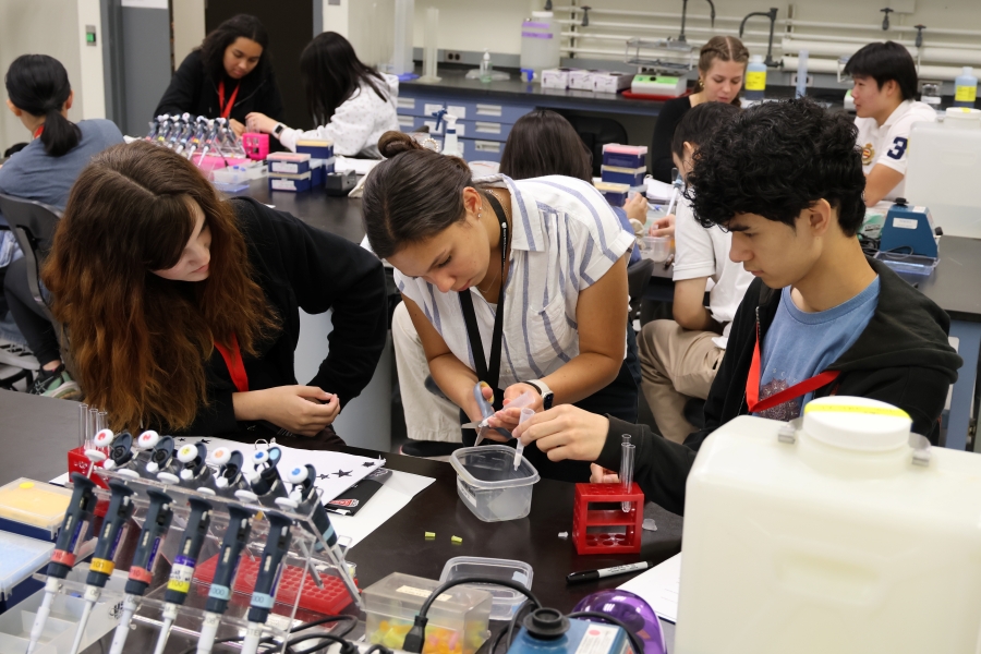 Students performing experiments