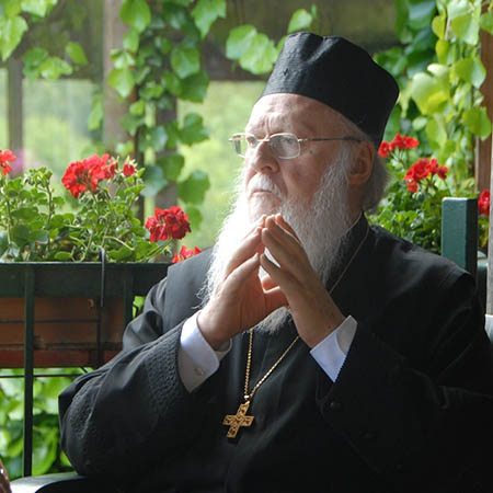 green patriarch